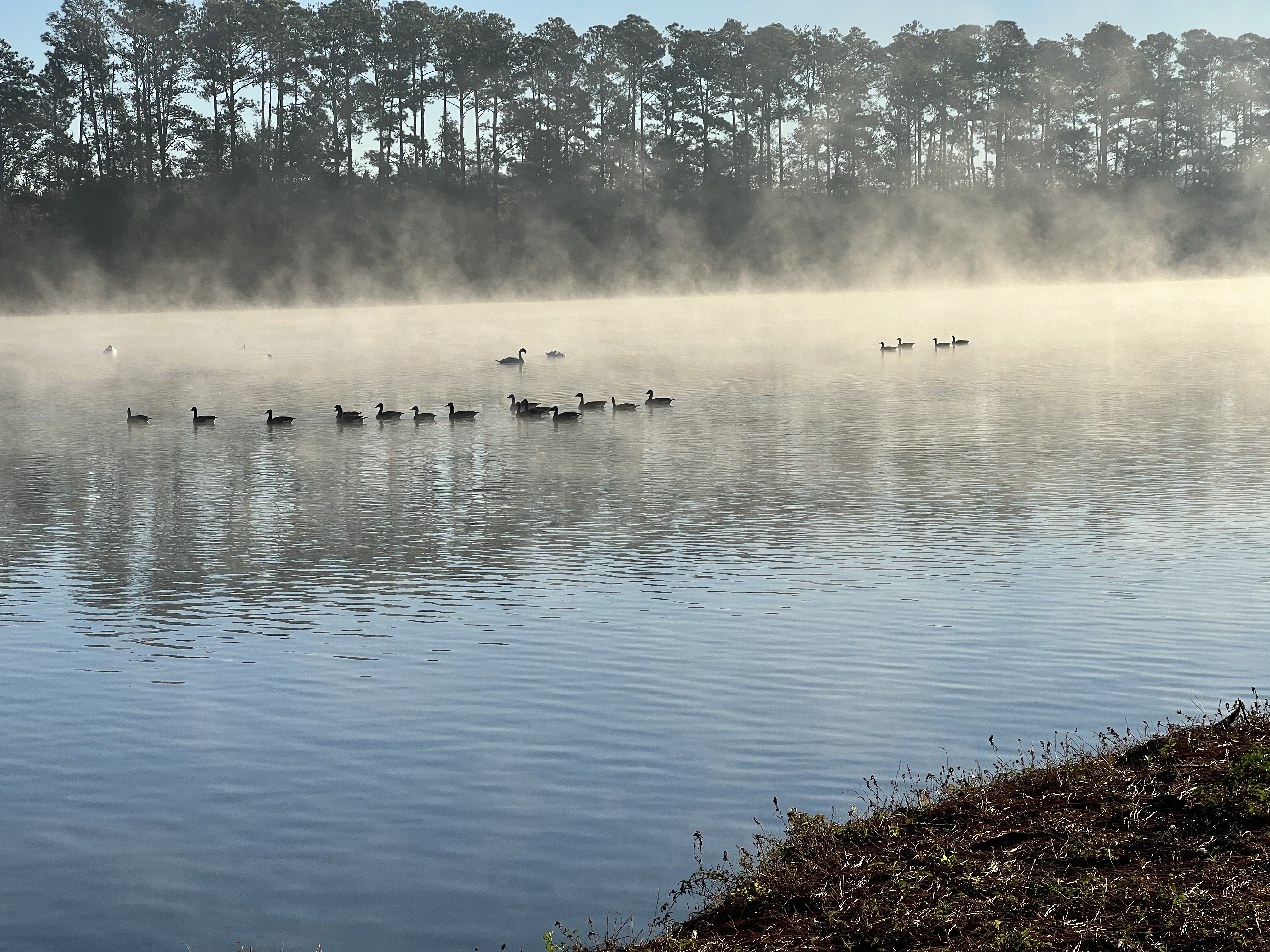 ./2024/12 - Thanksgiving/IMG_3827.JPG